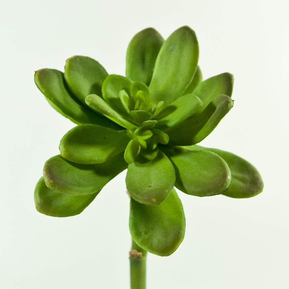 10" Artificial Echeveria