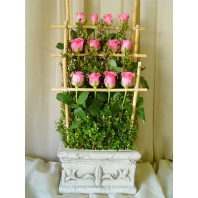 12 Pink Roses, Bamboo Fence in Stone Vase