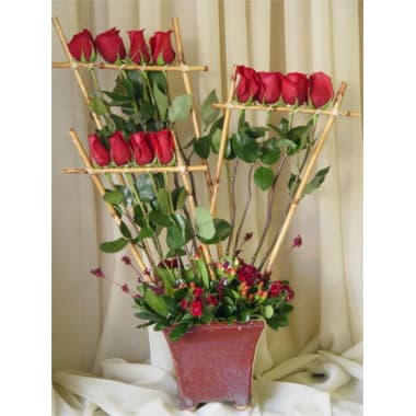 12 Roses, Bamboo Fence, Stone Vase