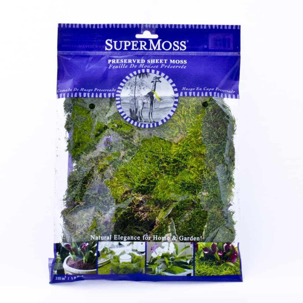 Preserved Sheet Moss