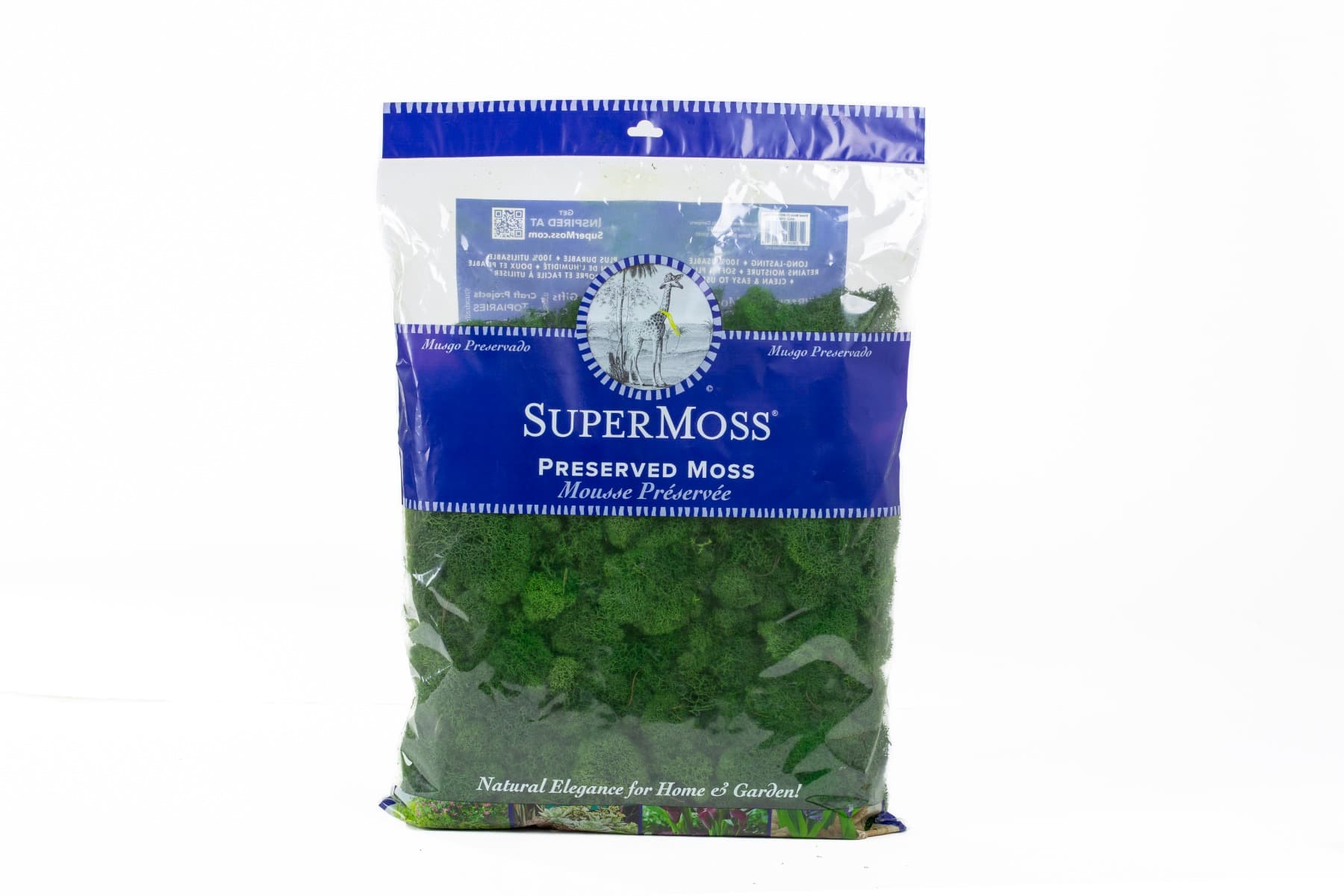 Forrest Green Reindeer Moss