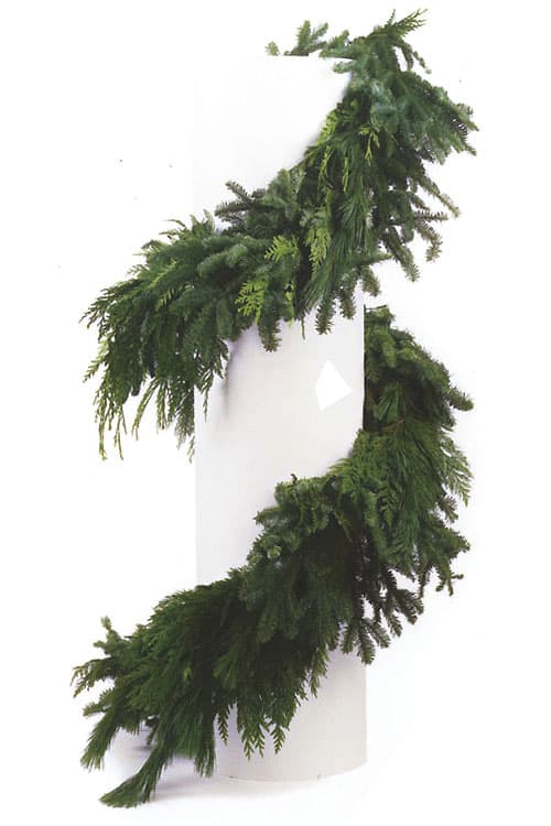 25' Noble, Cedar & Pine Mix Garland