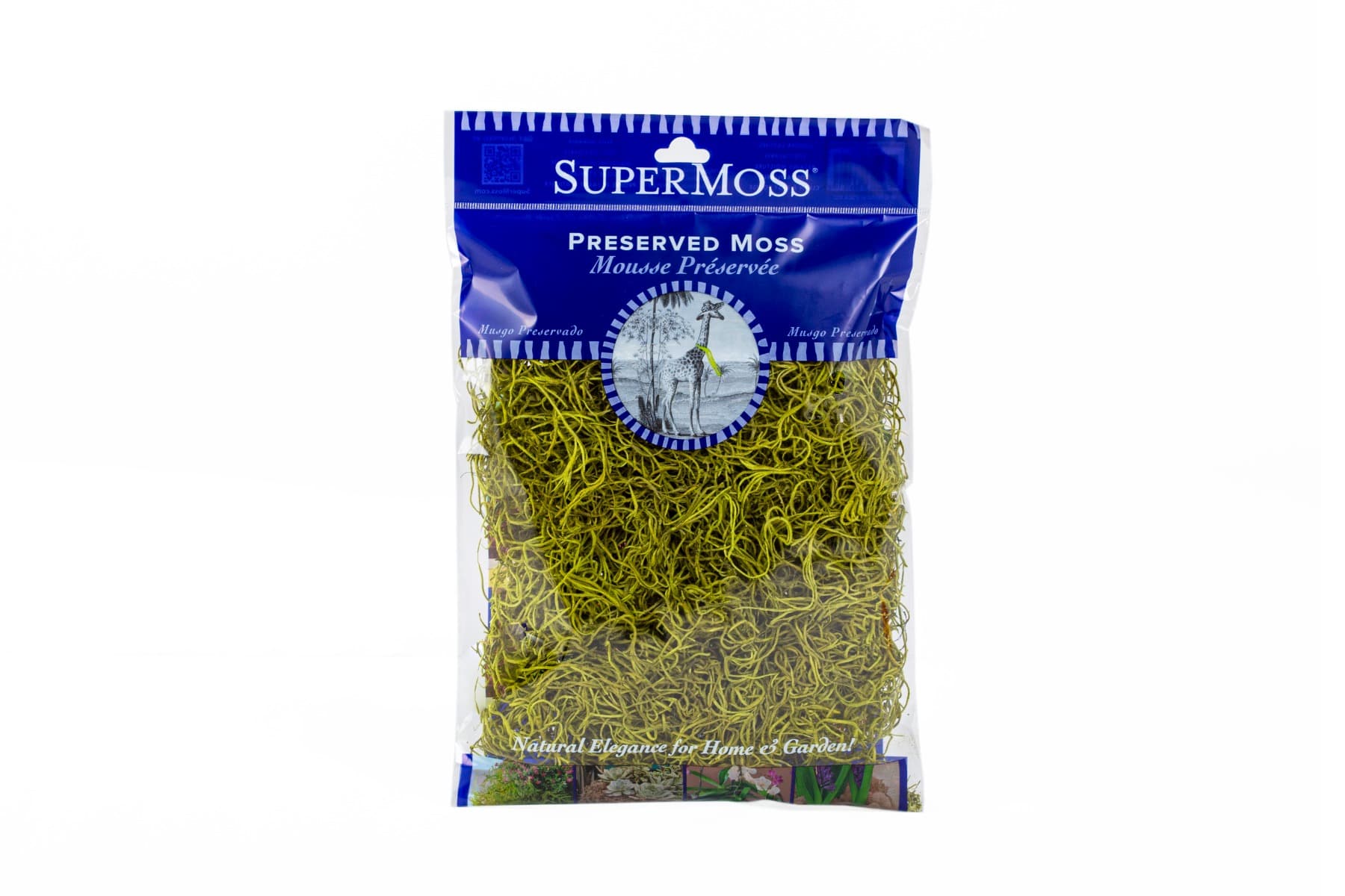 Preserved Moss