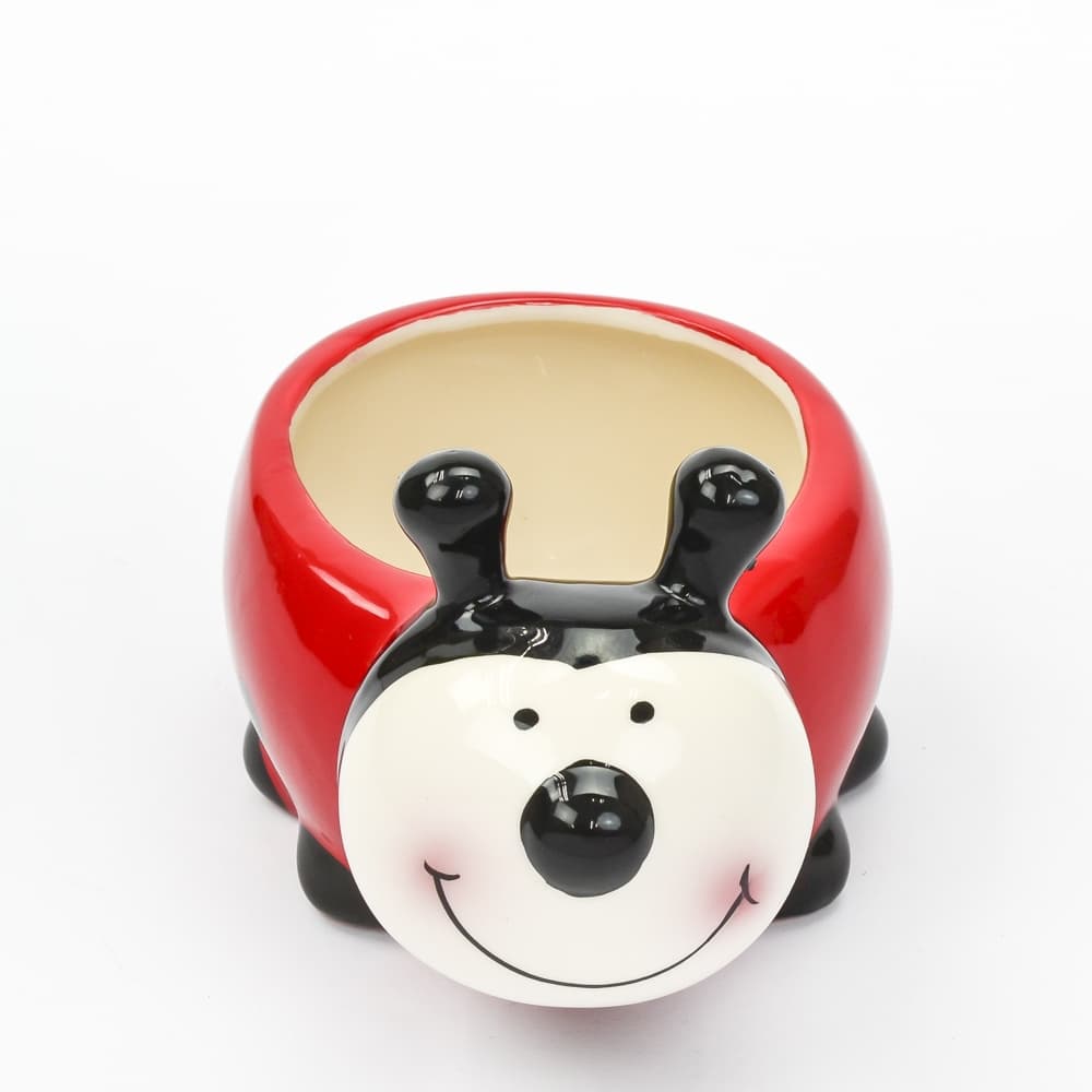 Ladybug Planter