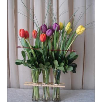 3 Vase Corral with Tulips
