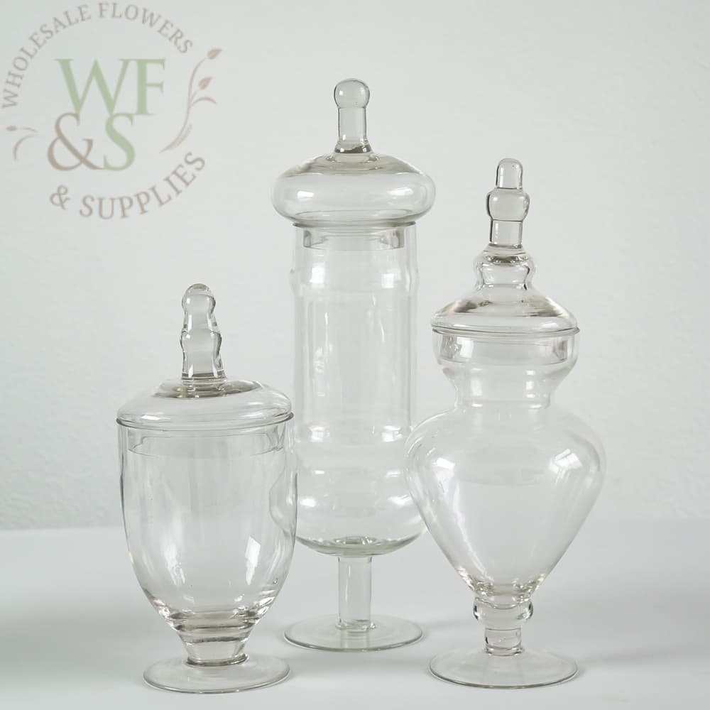 Glass Apothecary Cylinder Candy Jar Vases with Lids Set of 3 