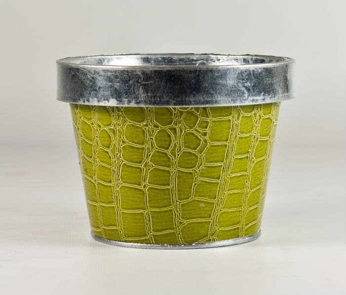 4" Faux Crocodile Leather Container - Green