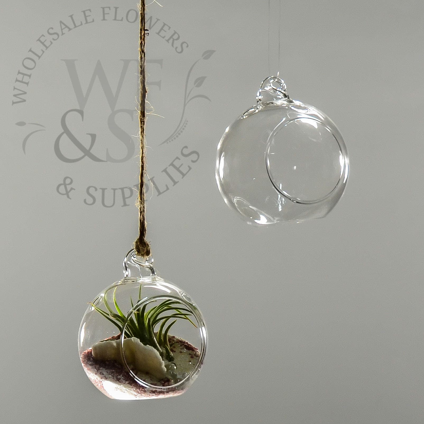 Hanging Glass Terrarium Globe Votive Holder Small