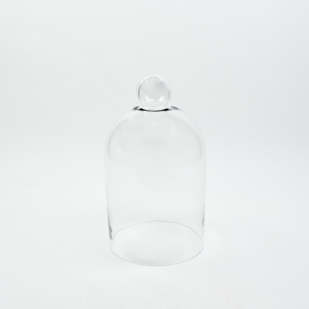 Large Glass Bell Jar 16" x 9"