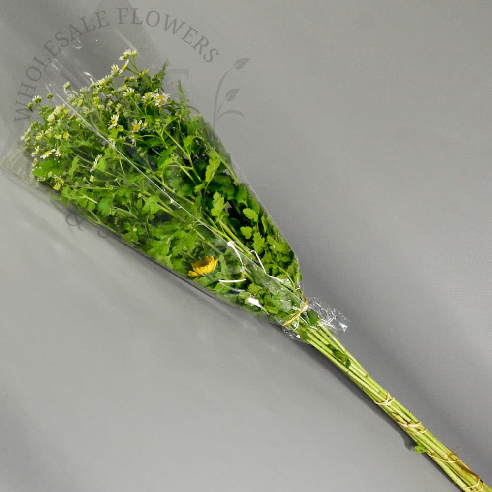 Flower Sleeves 12" x 4" x 18"