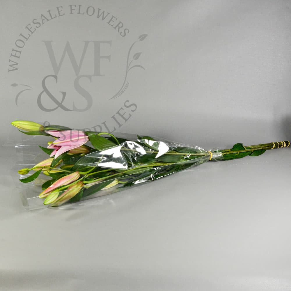 Flower Sleeves 13" x 23" x 4"