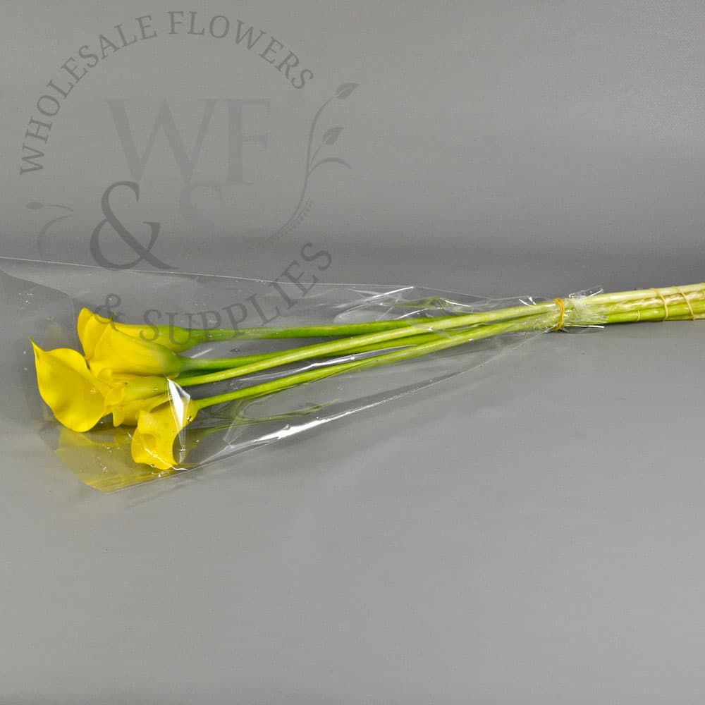 Flower Sleeves 17" x 17" x 4"