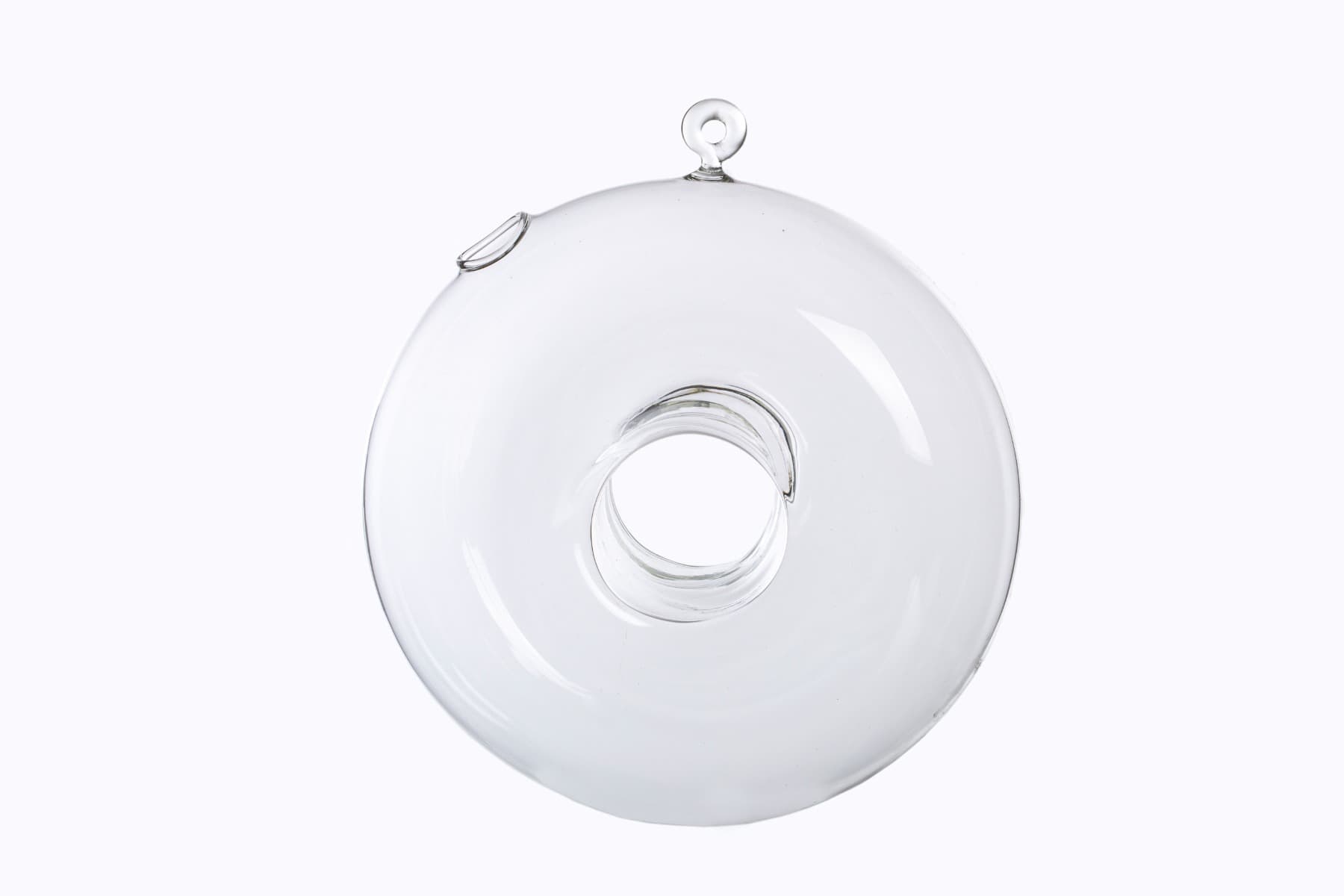 6" Donut Glass Terrarium Vase