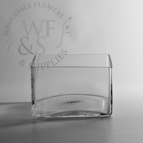 Square Glass Low-Dish Garden 4x6x6