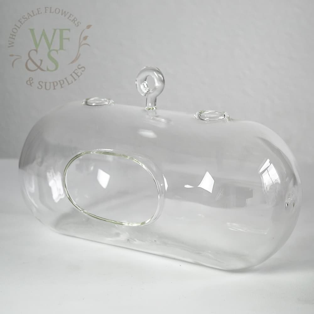 9" Hanging Clear Glass Terrarium Vase