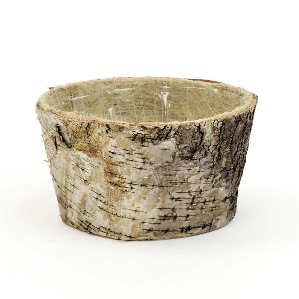 6 inch Birch Bark Planter