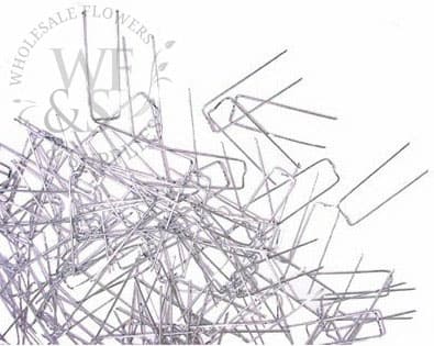 Floral Greening Pins 50pcs.