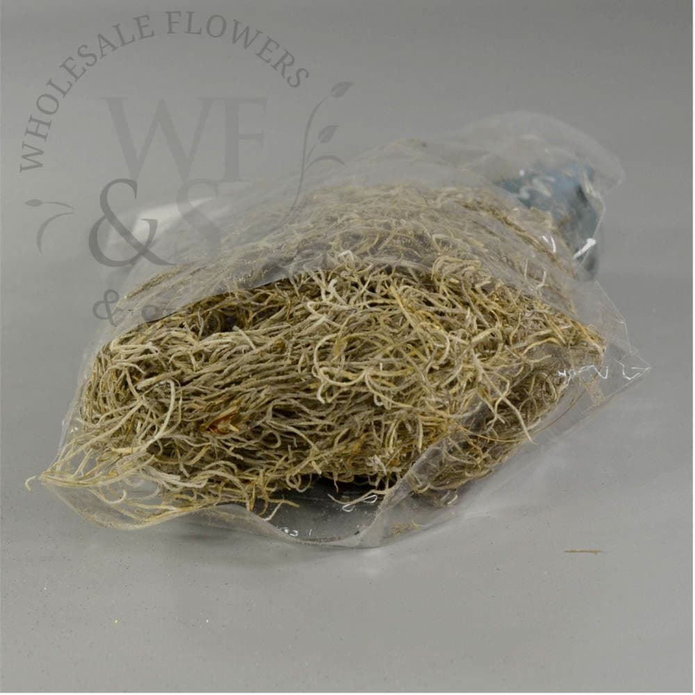 Spanish Moss - Natural