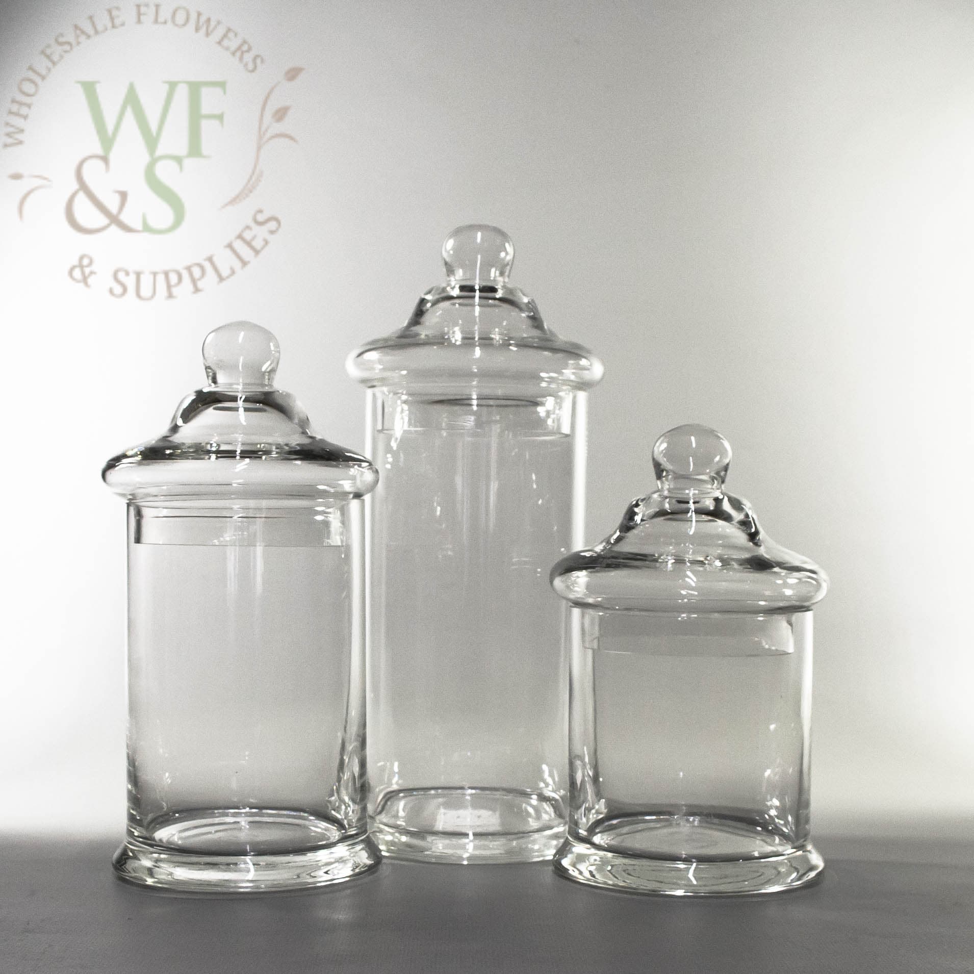 Glass Cylinder Candy Jar Vases with Lids Set of 3 