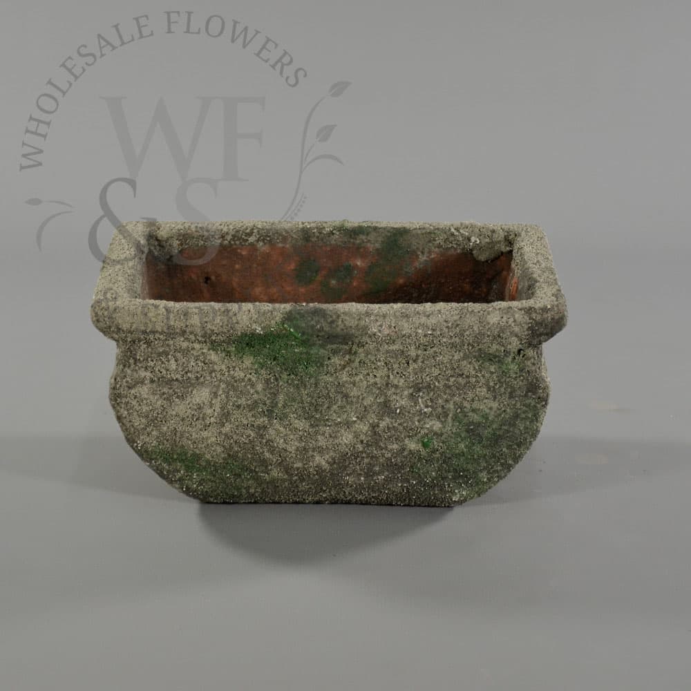Small Roman Moss Planter