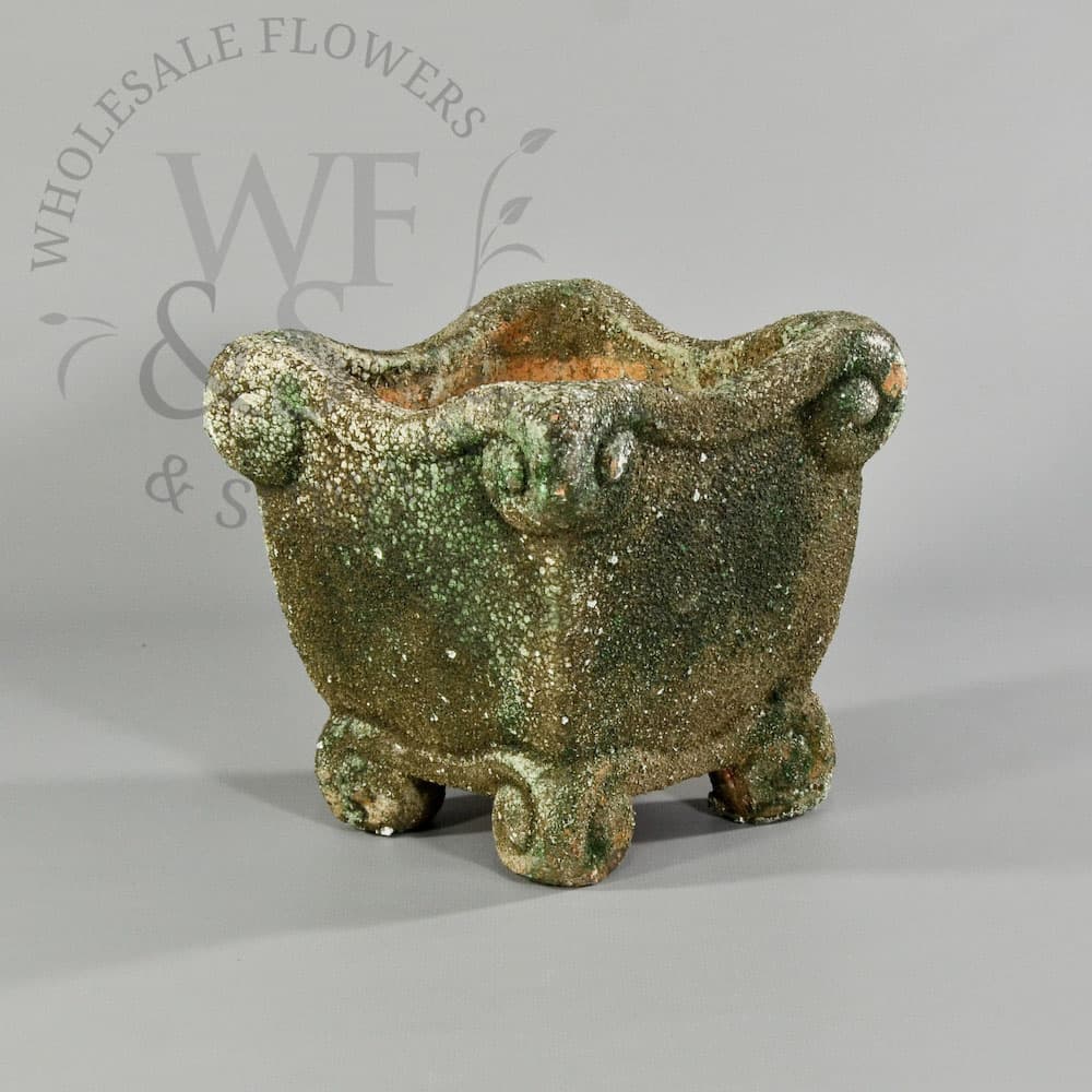 Large Roman Moss Square Planter