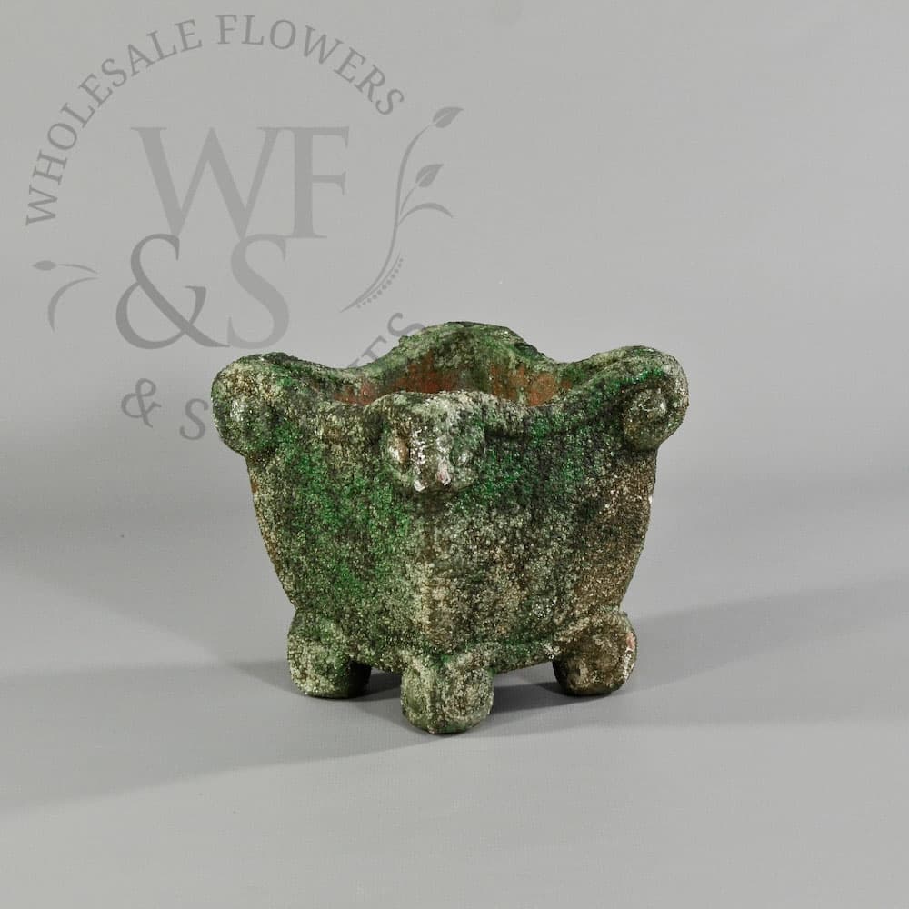 Small Roman Moss Square Planter