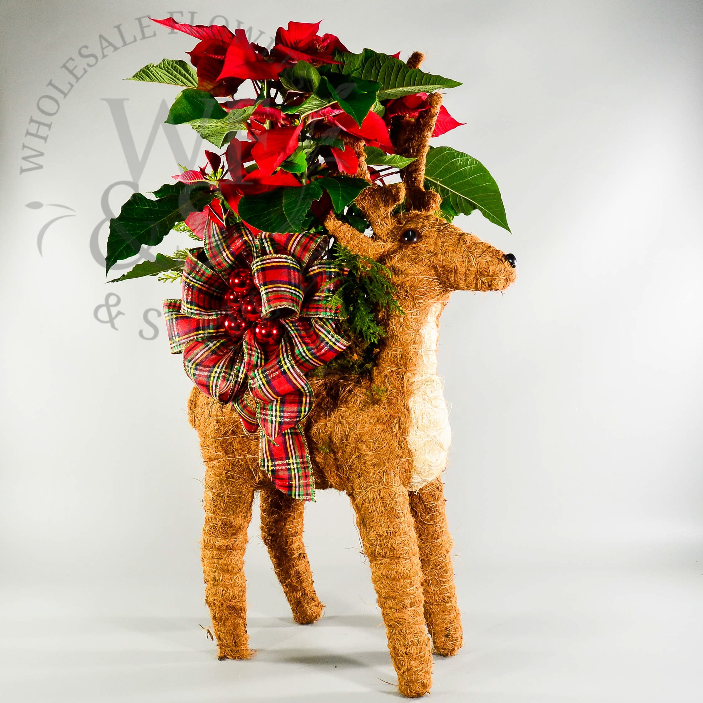 Christmas arrangement NEW5