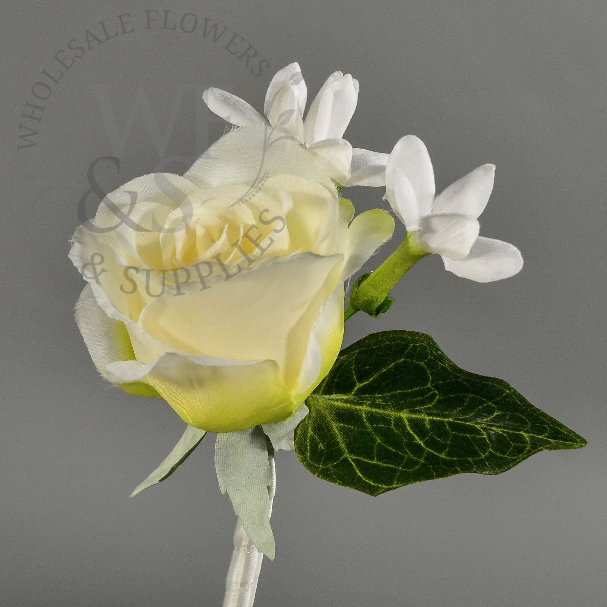 6" Rose and stephanopoulos Boutonniere