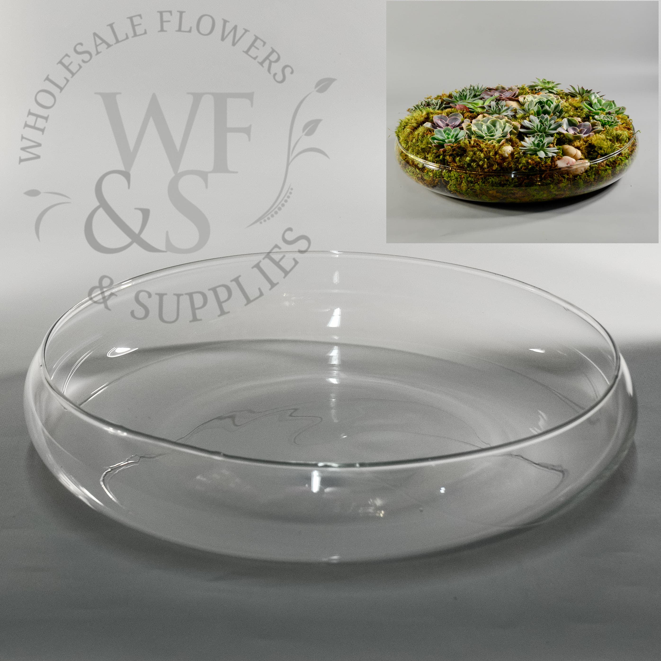 Glass Bowl Vase 15" Wide 