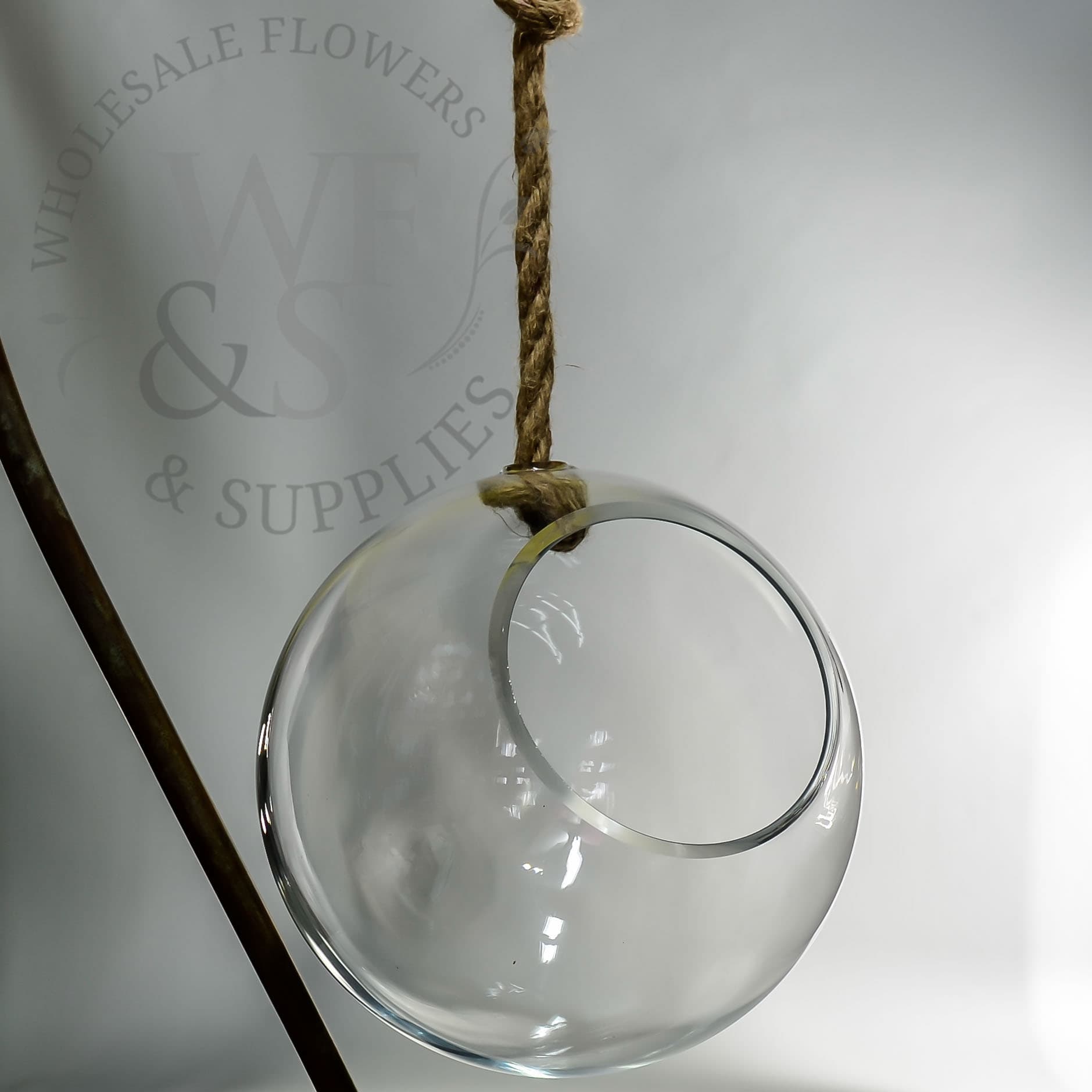 9" Large Hanging Globe Terrarium With Jute Rope Hanger