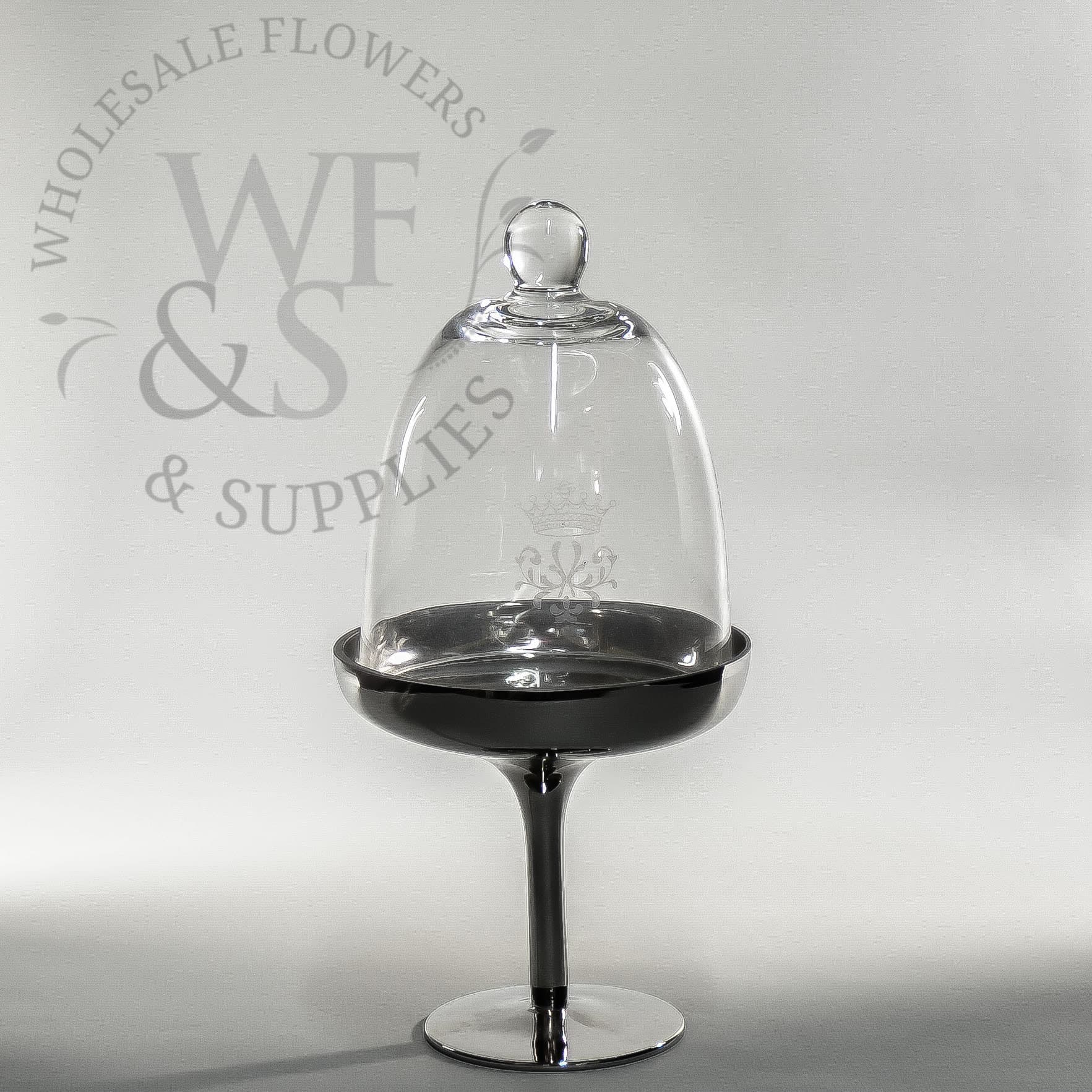 10" Cloche Dome Terrarium