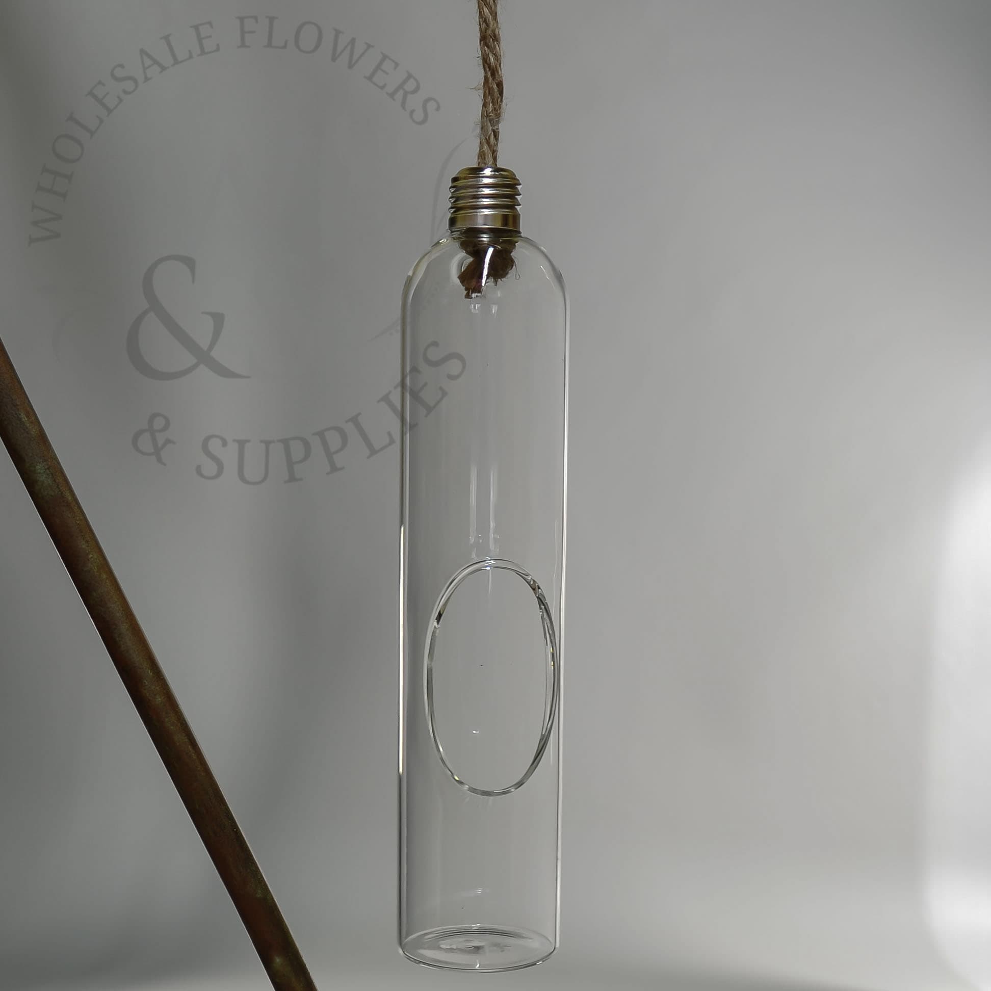 11" Hanging Glass Light Bulb Terrarium