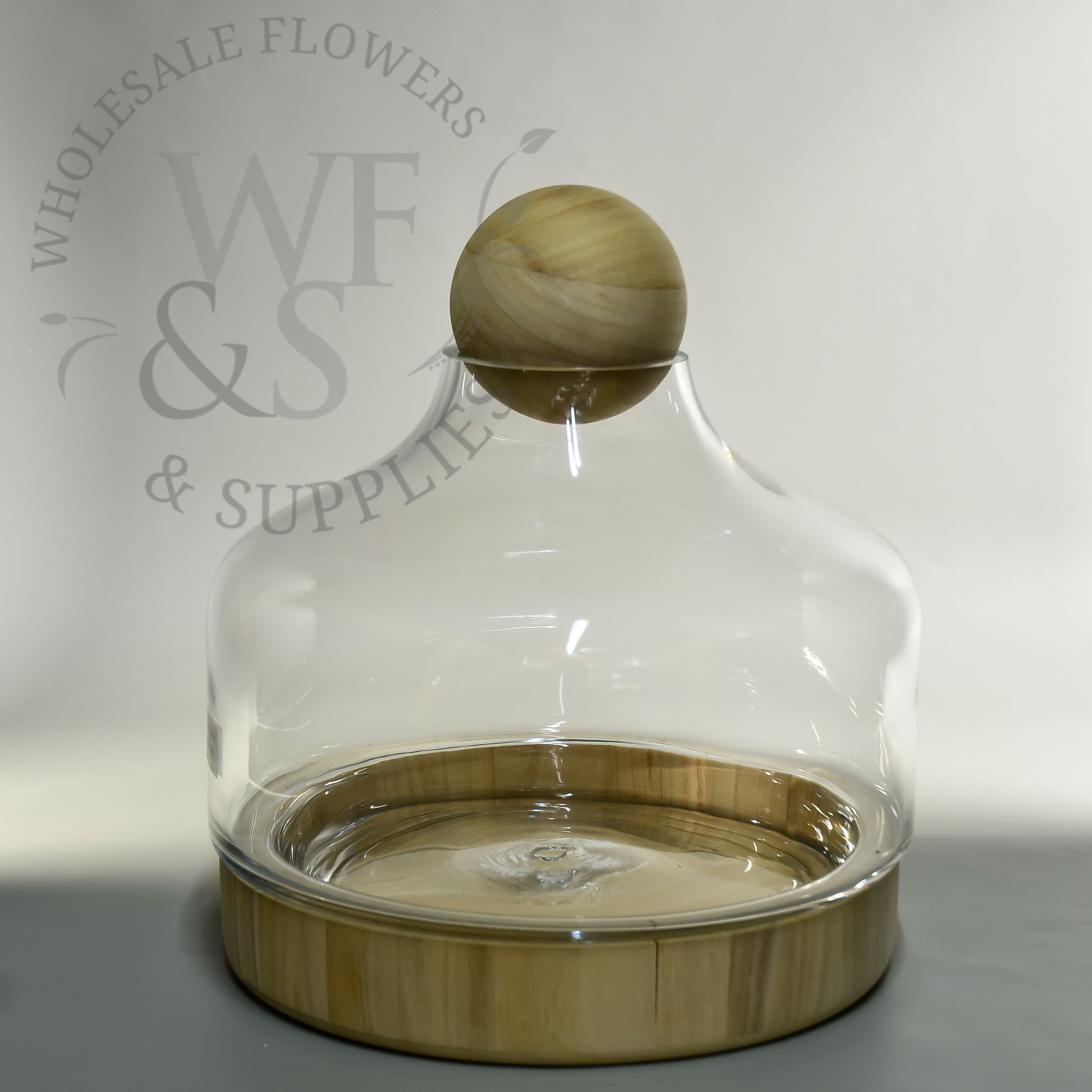 12" Tall Wooden Based Terrarium DISC