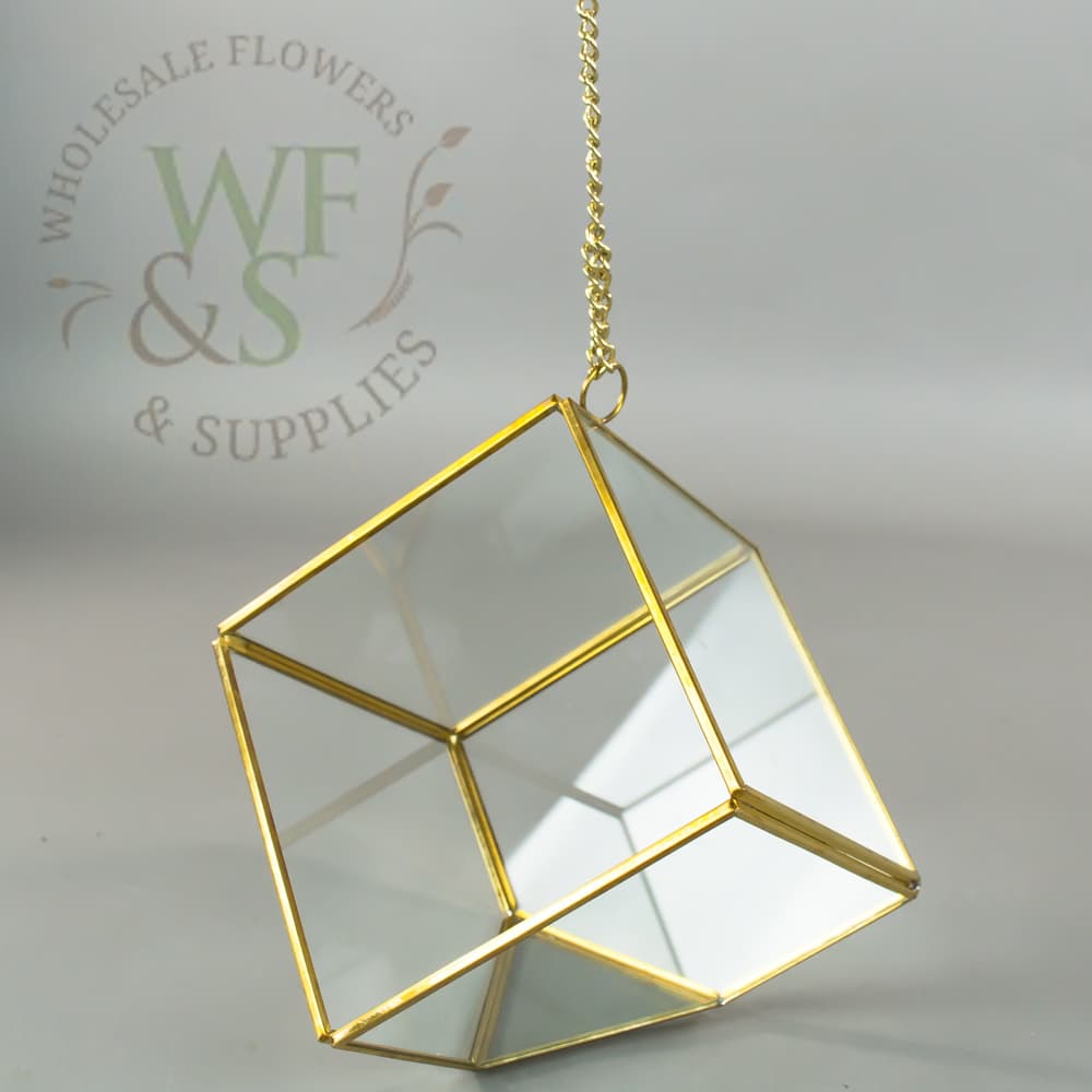 Cube Square Gold Framed Hanging Terrarium