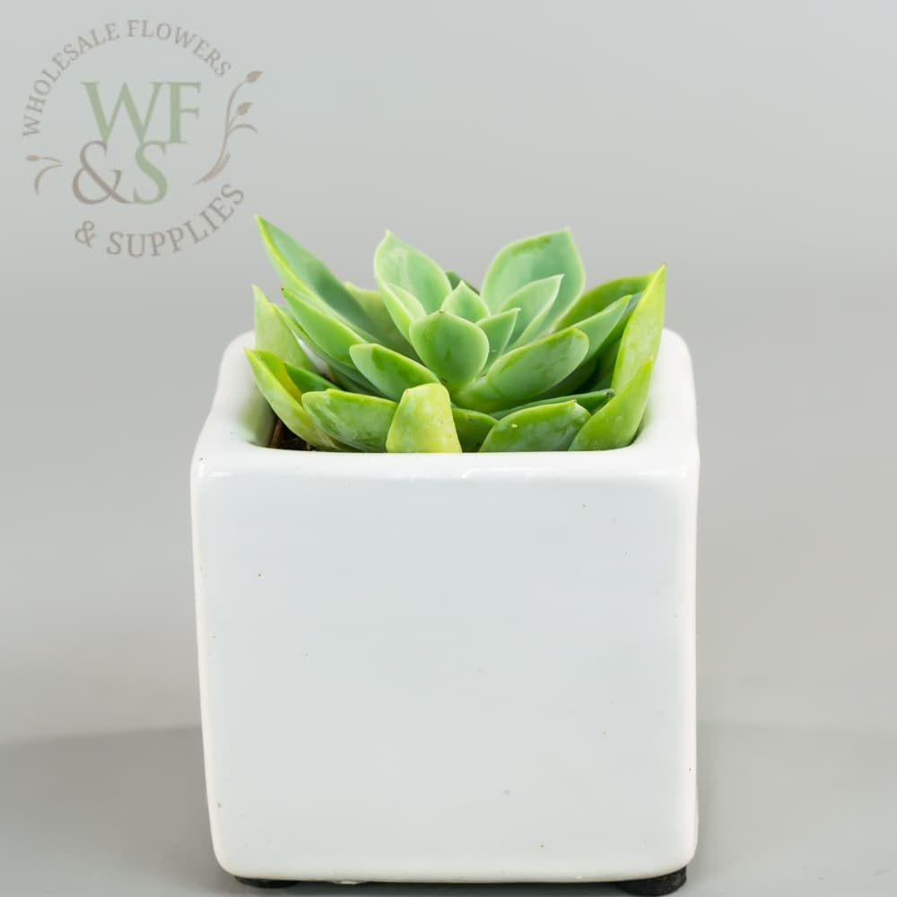 Ceramic Cube White Glazed 2.8" Tall