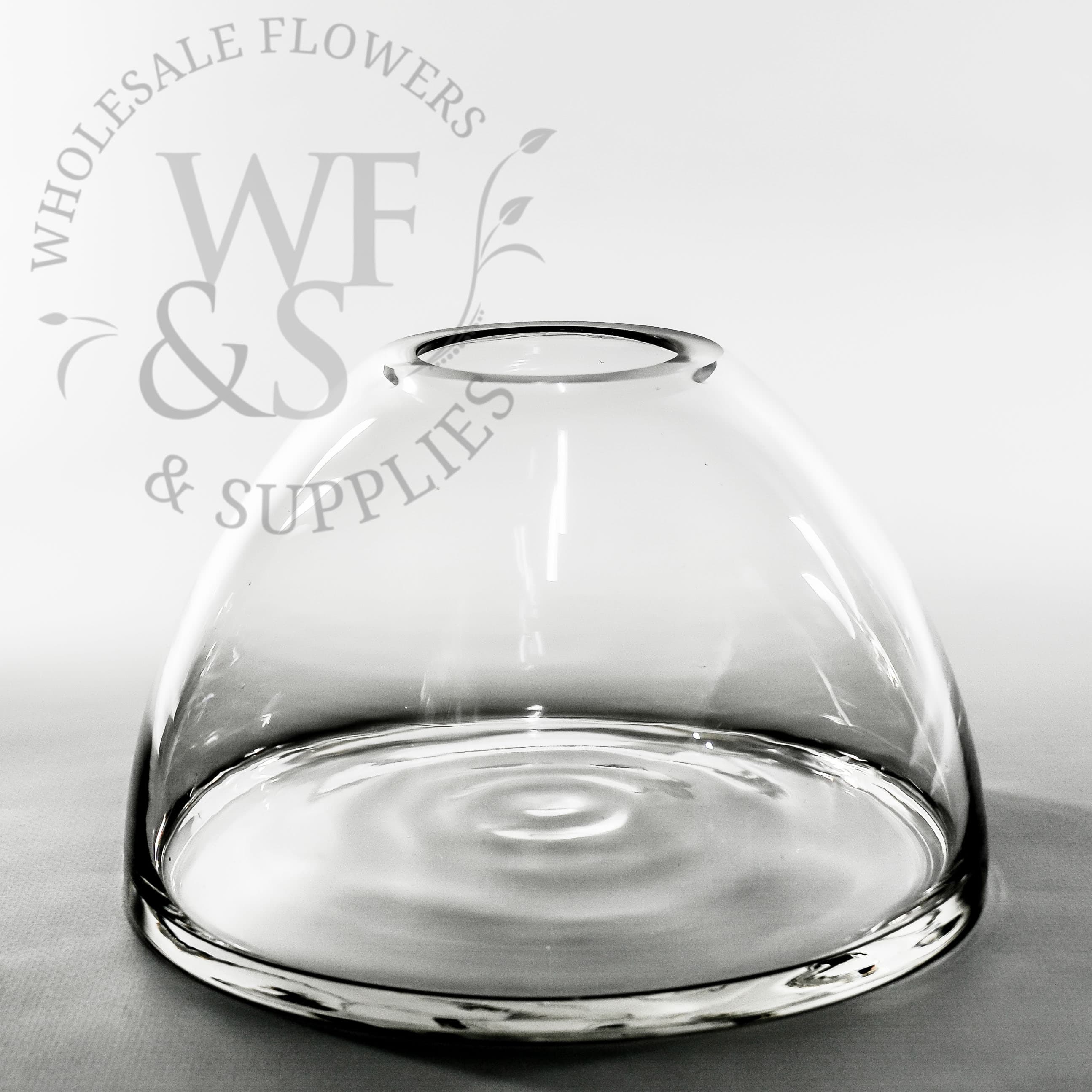 Glass Dome Bowl Terrarium Vase 