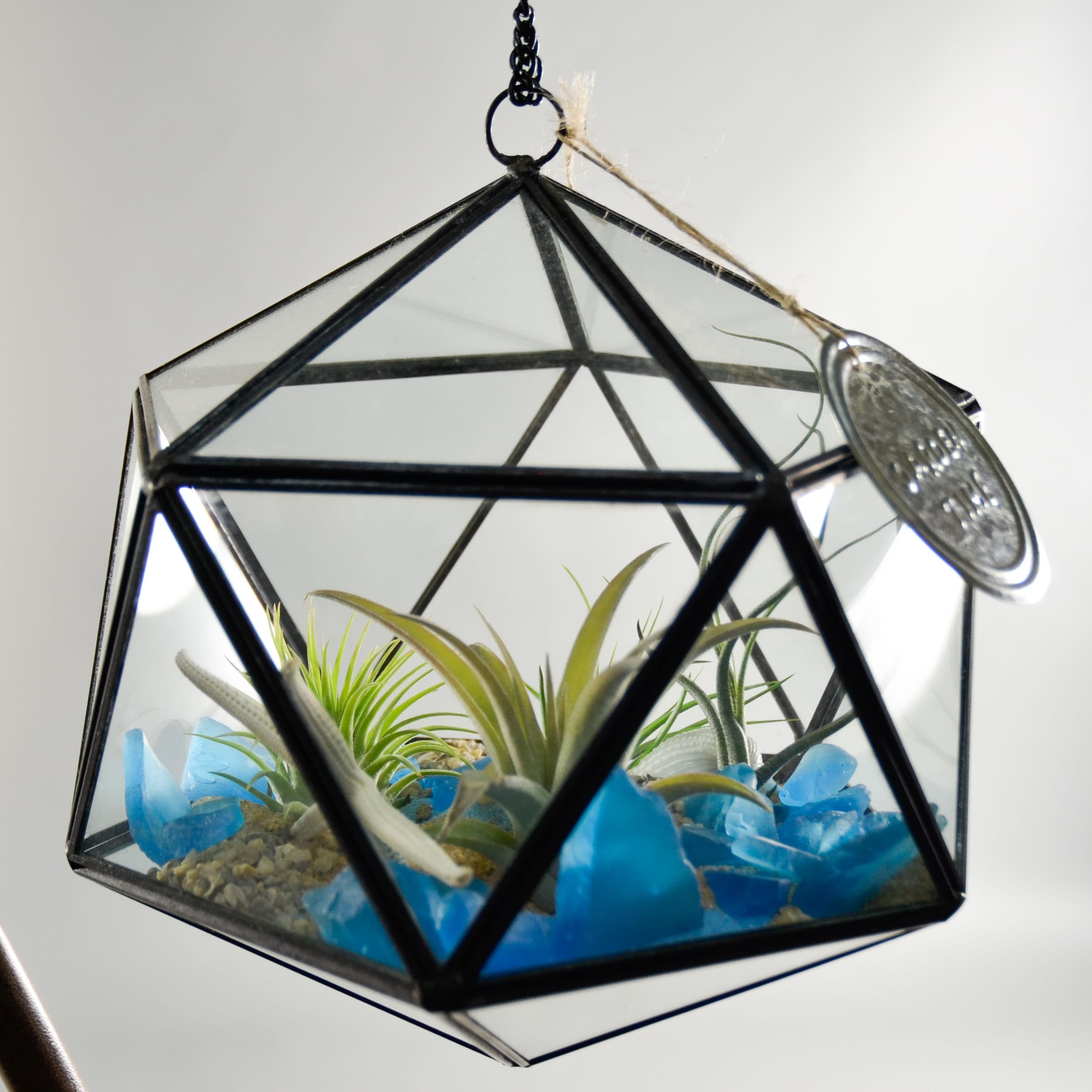 Triangle Shaped Terrarium