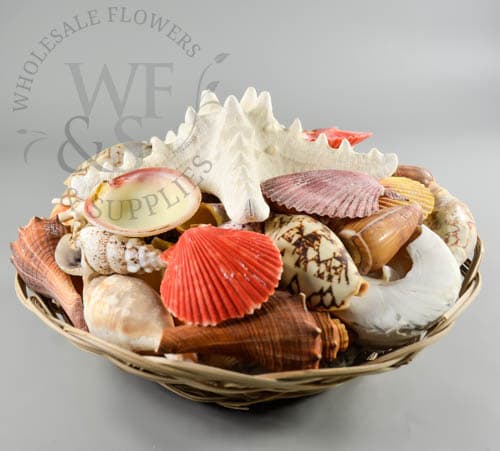 8" Wicker Basket Assorted Shells 