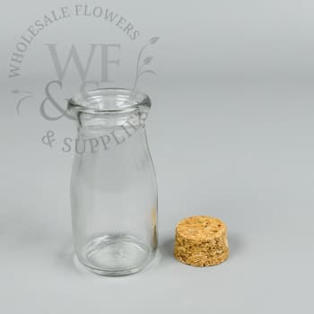 Mini Glass Bottles with Corks Set of 4