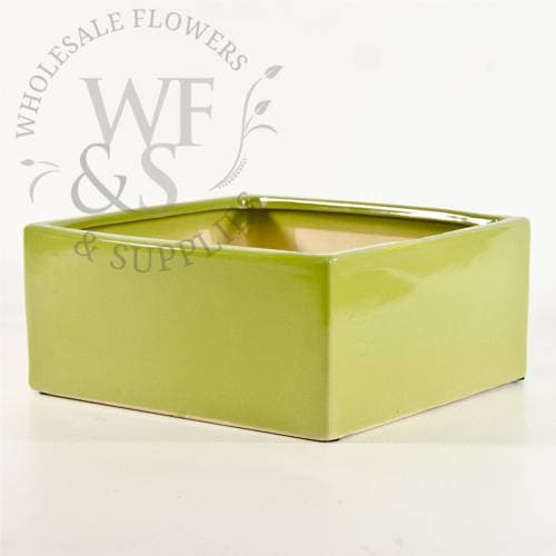 Light Green Dish Garden