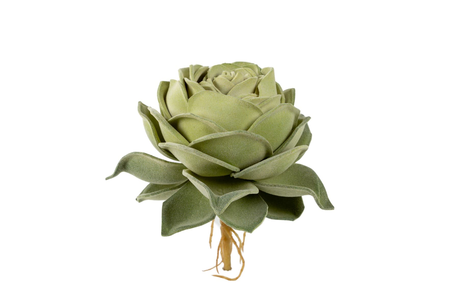 6" Light Green Rose Echeveria