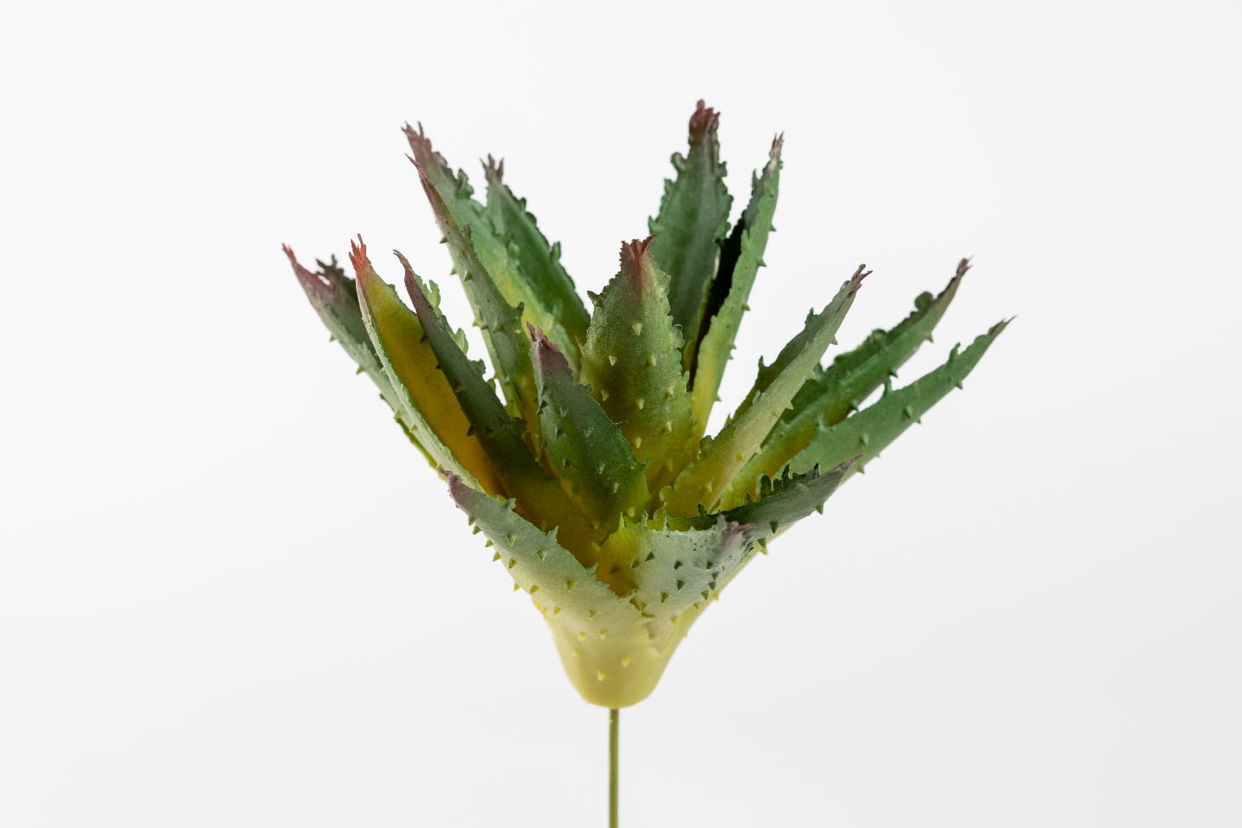 7" Soft touch agave pick GR