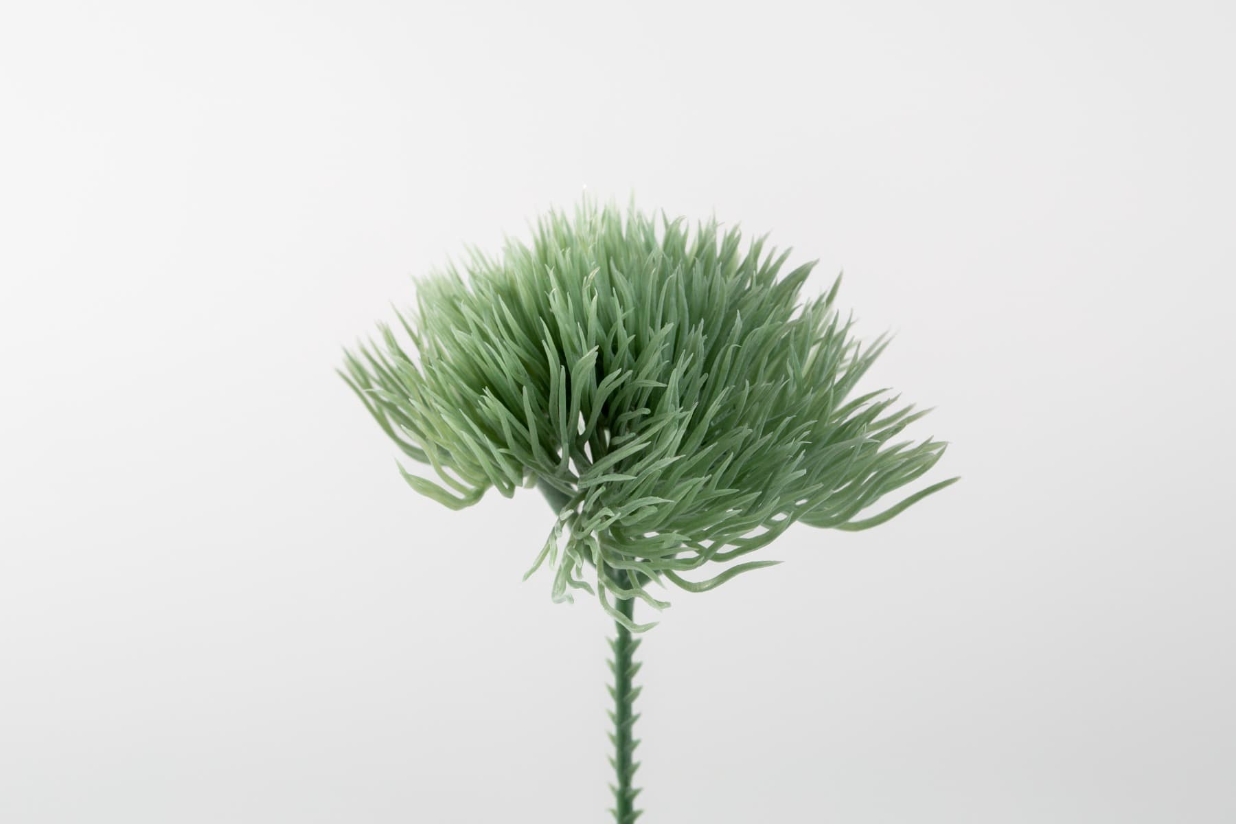 6" Soft Touch Moss Grass Pick Sage Green
