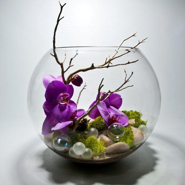 Contemporary Orchid Bowl