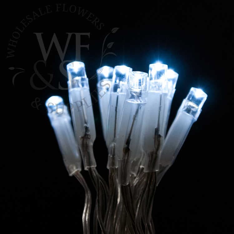 Deco String Light 10 LED Vine Light Colors Available