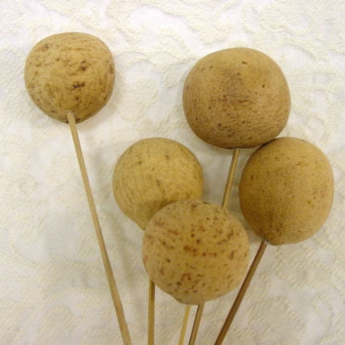 Dried Belani Ball Stems