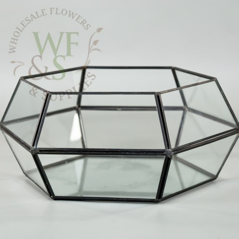 Metal Framed Hexagon Shaped  Black Dish Garden Terrarium