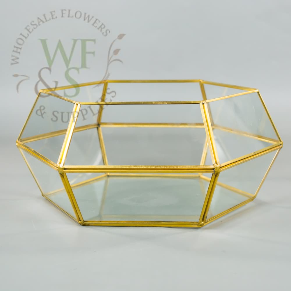 Metal Framed Hexagon Shaped  Gold Dish Garden Terrarium