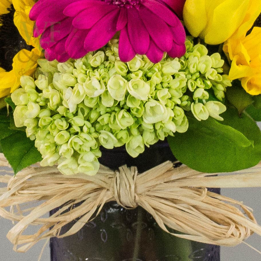 Small Natural Raffia Bundle