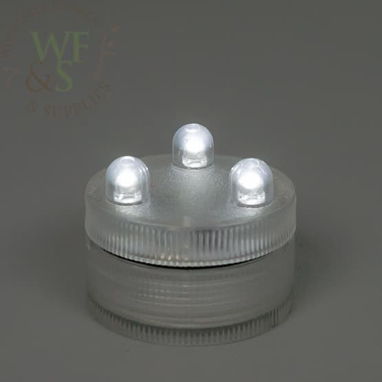 Acolyte Submersibles, Light Bases & More